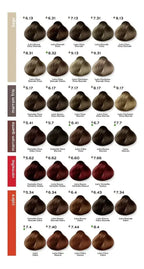 Itallian Color 6.1 LOIRO ESCURO CINZA Premium - 60g