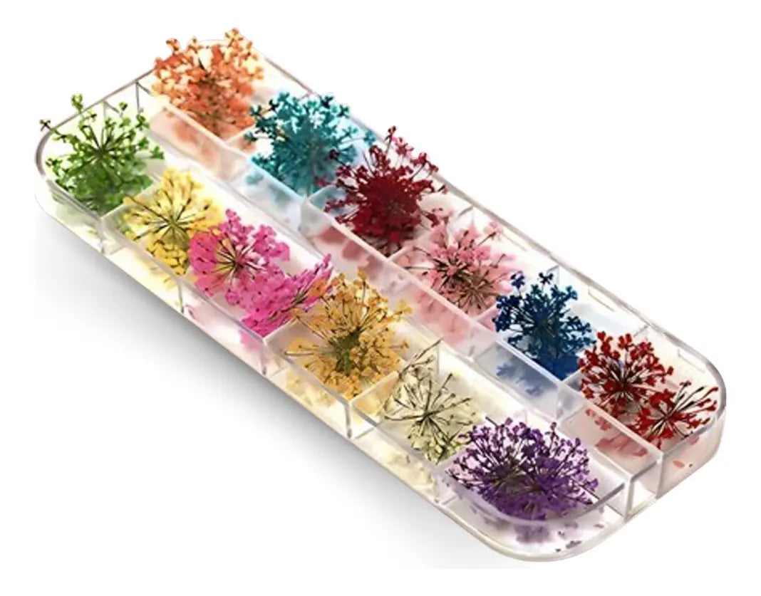 Kit folha seca para decoração