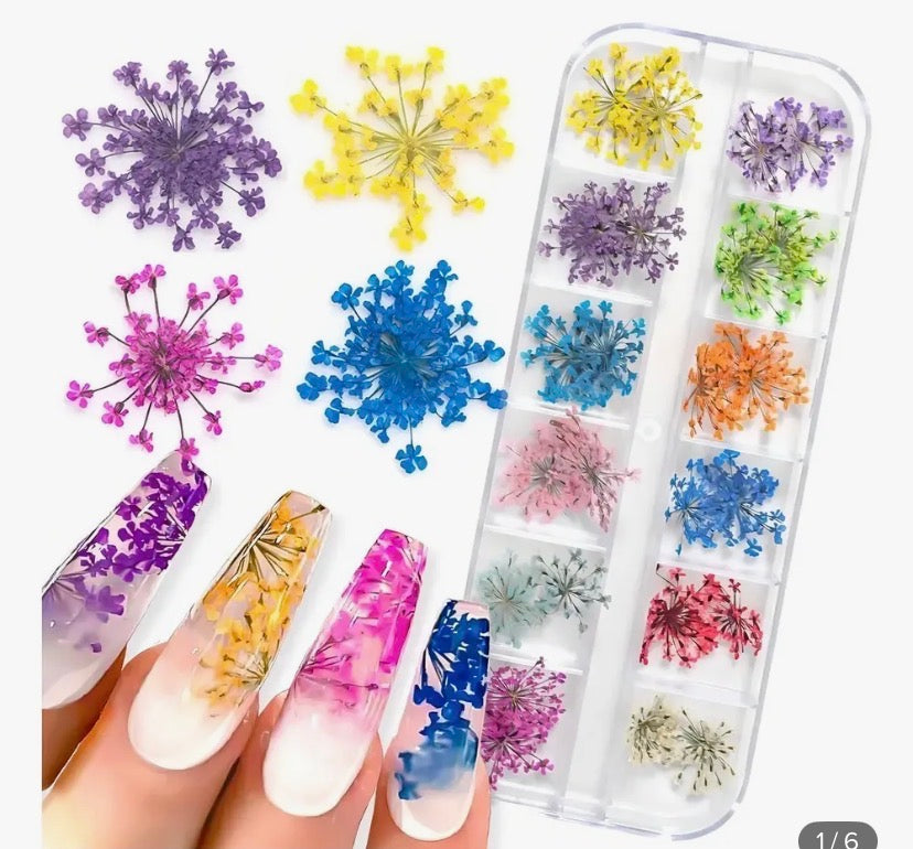 Kit folha seca para decoração
